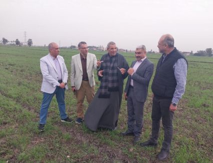 الزراعة تؤكد على توافر تقاوى القمح المعتمدة بجميع المحافظات