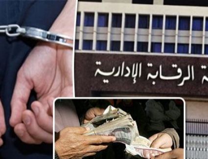 تفاصيل سقوط الفاسدين بوزارة التموين فى قبضة أسود الرقابة الإدارية