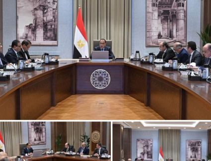 مدبولي يلتقى زعيم الأغلبية ورئيسي لجنتي الصناعة والمشروعات المتوسطة والصغيرة ومتناهية الصغر 