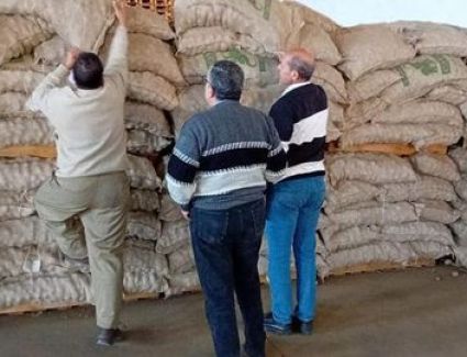 الزراعة تشن حملات مكثفة على محطات ومنافذ بيع تقاوى البطاطس