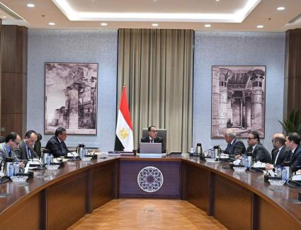 رئيس الوزراء يتابع عددا من مشروعات التطوير بمحافظة الجيزة