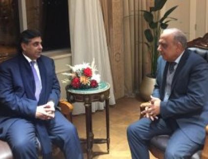 وزير قطاع الأعمال العام يلتقي وفدا من رجال الصناعة والمستثمرين الباكستانيين