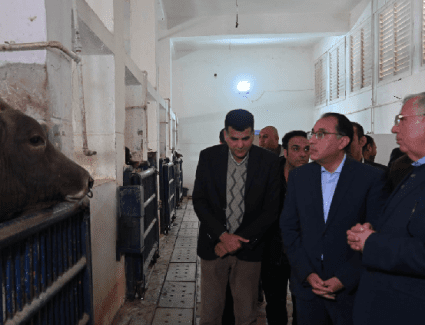 مدبولي: الاهتمام بالثروة الحيوانية يأتي على رأس اهتمامات الحكومة لتحقيق الأمن الغذائي من اللحوم والألبان