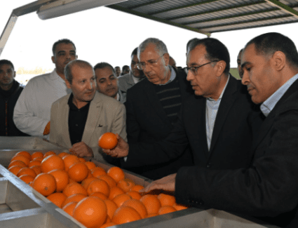 مدبولي: الحكومة تعمل على تحفيز القطاع الخاص لزيادة الإنتاج من الموالح لزيادة نمو الصادرات وفتح أسواق جديدة