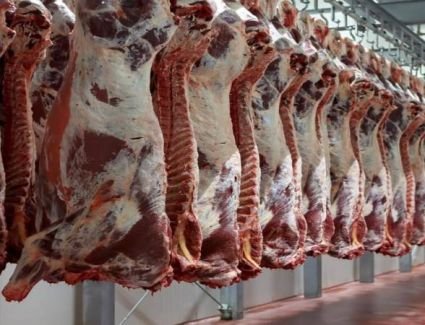 التنمية المحلية تسابق الزمن لرفع كفاءة 30 مجزراً بـ 18 محافظة بتكلفة 1.2 مليار جنيه