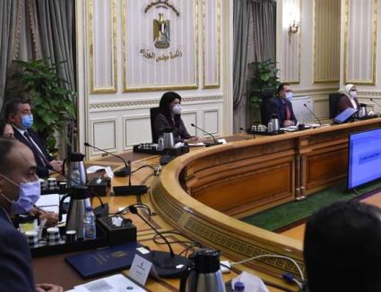 الحكومة تتيح وسائل تنظيم الأسرة بالمجان للجميع.. وتمويل 60 ألف مشروع صغير للسيدات