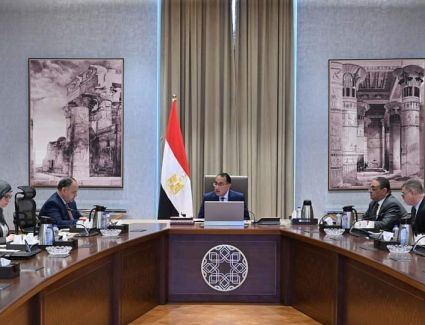 رئيس الوزراء يعقد اجتماعًا بشأن المجلس الوطني لتوطين التكنولوجيا الخاصة بتصنيع الرقائق الإلكترونية