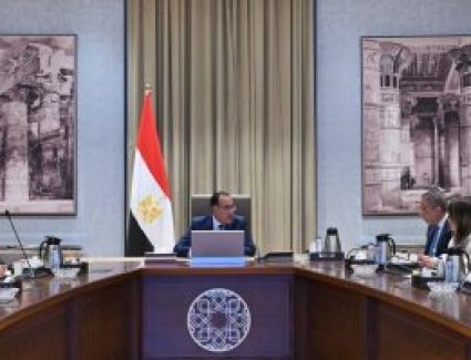 رئيس الوزراء يبحث مع وفد «يازاكى» اليابانية مشروع تصنيع ضفائر السيارات