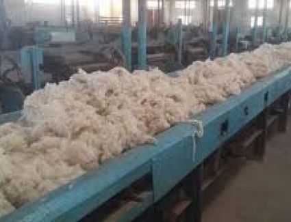 وزارة قطاع الأعمال: محلج الفيوم المطور.. أولى ثمار خطة النهوض بالقطن المصري وصناعة الغزل والنسيج