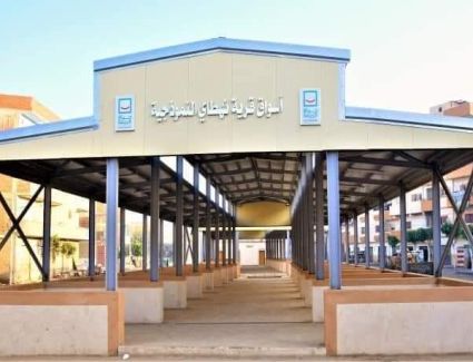 وزير التنمية المحلية يتلقي تقريراً حول موقف استلام وتشغيل مجمعات الخدمات الحكومية ومشروعات الإدارة المحلية بقري المبادرة الرئاسية «حياة كريمة»