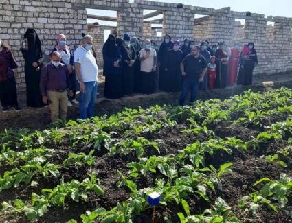 وزير الري: بإمكانيات بسيطة تصنيع جهاز حساس لقياس درجة رطوبة التربة 