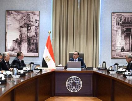 «مدبولي» يوجه بخطة إفراج تدريجي عن السلع الموجودة في الجمارك..والأولوية للسلع الغذائية والأدوية والأعلاف