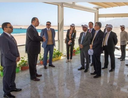 عاجل.. جمال الدين: إنشاء مجمعات صناعية متكاملة لخفض تكلفة إنتاج الوقود الأخضر والسيارات