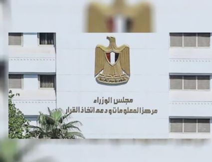 تعرف على قرار الحكومة بشأن تصفية شركة "إدفينا" للصناعات الغذائية لصالح مستثمرين أجانب