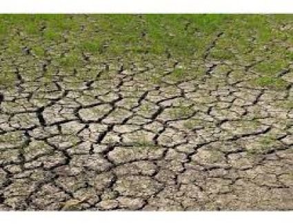 هل يوجد عجز في مياه الري يؤدي لبوار الأراضي الزراعية بالفيوم.. الحكومة تجيب