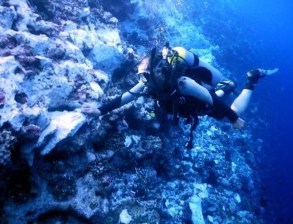 البيئة: استمرار التحفظ على السفينة الجانحة دون وقوع أي تسرب لأية مواد ملوثة أو غازات