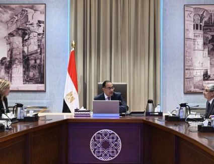 «مدبولي» يلتقي رئيس «سكاتك النرويجية» لاستعراض مجموعة من مشروعات الطاقة المتجددة