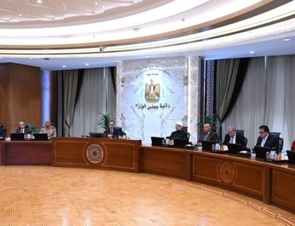 الحكومة توافق على انضمام مصر إلى عضوية الوكالة الأفريقية للتأمين على التجارة وتنمية الاستثمارات