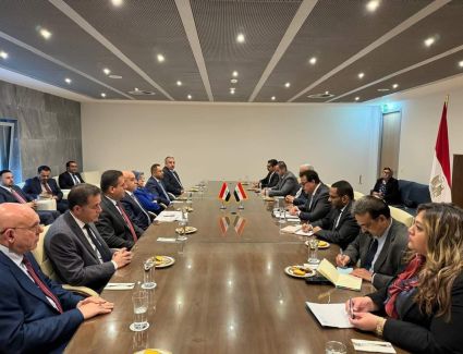 وزير الصحة يبحث مع نظيره العراقي سبل التعاون في تصدير وتسجيل الأدوية