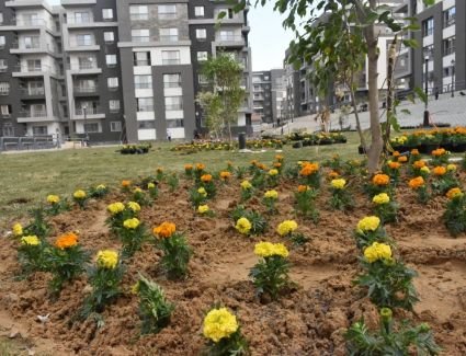 الجزار: بدء تسليم 1512 وحدة سكنية بمشروع "JANNA" بمدينة القاهرة الجديدة مطلع الشهر المقبل