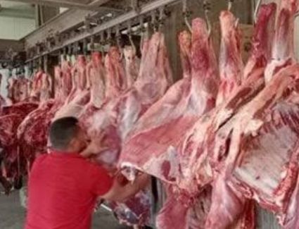 الزراعة: المجازر تستقبل 7300  أضحية ثالث أيام عيد الأضحى المبارك