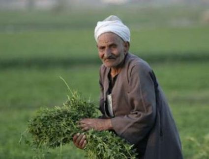 وزير الزراعة: يشيد بمبادرة البنك الزراعي بتسوية ديون الفلاحين المتعثرين