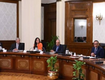 مدبولي يتابع جهود توفير مياه الشرب والري بالسويس وحل مشكلات المناطق الساخنة