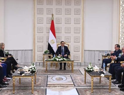 مدبولي يُثمن توقيع أول عقد مُلزم لشراء الأمونيا الخضراء من مصر