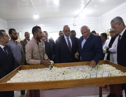 تنمية المشروعات تبحث استغلال   الفرص الاستثمارية والصناعات الإنتاجية  بالوادى الجديد