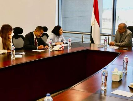 وزير الكهرباء يبحث مع وفد بنك إعادة الإعمار والتنمية الأوروبي سبل التعاون المشترك