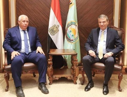 وزير الزراعة يتابع مع محافظ الوادي الجديد ملفات التعاون الزراعي المشترك