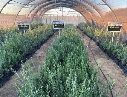  في عقل وقلب القيادة السياسية.. الزراعة: تنمية سيناء آمن قومي وغذائي