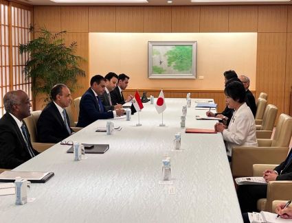 وزير الخارجية يجرى مباحثات مع نظيرته اليابانية في طوكيو