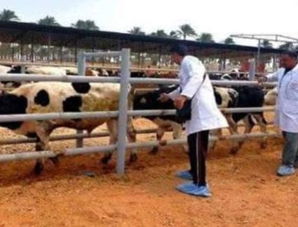 6.6 مليون جرعة ضد مرضى الحمي القلاعية خلال الحملة القومية الثانية بمبادرة حياة كريمة