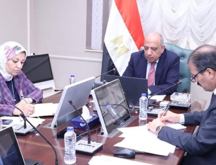 وزير الكهرباء والاتحاد الأوروبي يبحثان التعاون المشترك في مجالات الربط والطاقات المتجددة