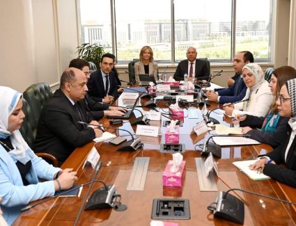 وزير  الصناعة يبحث مع سفيرة النرويج بالقاهرة تعزيز الاستثمارات النرويجية بالسوق المصري