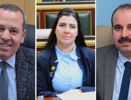 برلمانية تشكر "صحة الدقهلية" لاهتمامهم بوحدة حضانات قرية ميت خميس