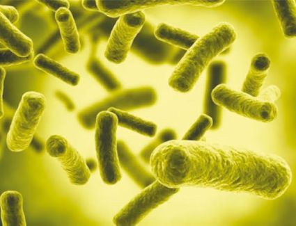 «إي كولاي» سر النزلة المعوية في أسوان.. اعرف التفاصيل