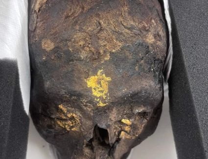 استرداد ثلاث قطع أثرية من ألمانيا وتسليمها للسفارة المصرية ببرلين