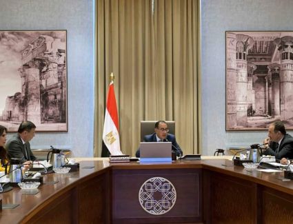 الحكومة تُدبّر التمويل اللازم لشراء الأقطان المصرية