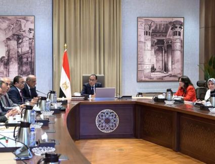 رئيس الوزراء يستعرض مع وزير الكهرباء موقف مشروعات الطاقة الجديدة والمتجددة طبقاً لرؤية 2040