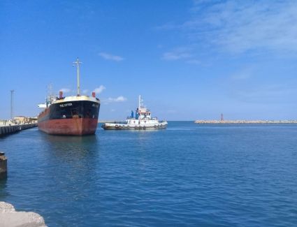 اقتصادية قناة السويس: 38 سفينة استقبلتها موانئ المنطقة خلال يومين