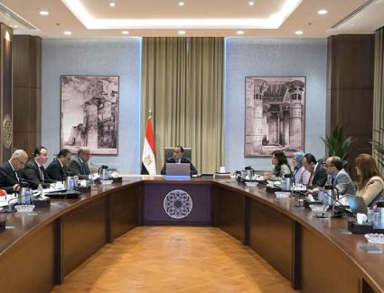 رئيس الوزراء يُتابع الموقف التنفيذي لعدد من مشروعات قطاع الكهرباء