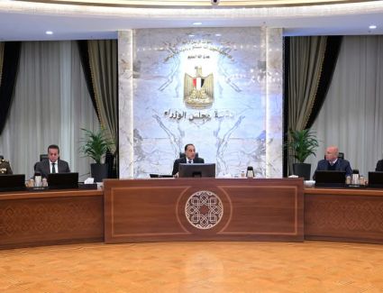  الوزراء: استمرار جهود مصر في العمل من أجل ضمان التنفيذ الكامل لبنود اتفاق وقف إطلاق النار وتخفيف مُعاناة أهالي قطاع غزة