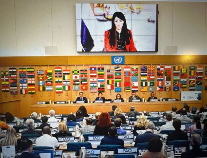 «المشاط» تستعرض المنظومة الإلكترونية لمتابعة مشروعات التمويل التنموي الميسر (AIMS)