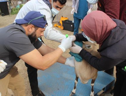 التحالف الوطني يستعين بأفضل الخبرات الدولية والمحلية لرعاية الحيوانات بحديقة الحيوان