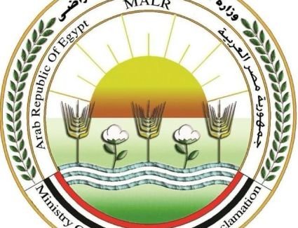 المجازر الحكومية استقبلت أكثر من 34 ألف أضحية في العيد بجميع المحافظات