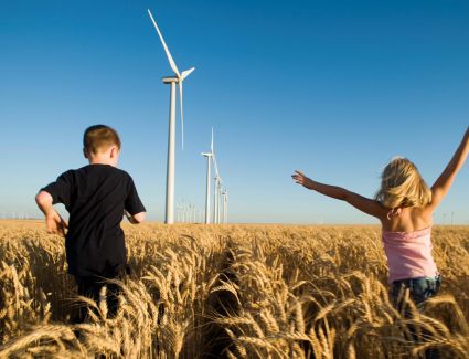 شنايدر إلكتريك تعلن تفاصيل التزاماتها بالتصدي لفقدان التنوع البيولوجي