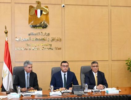 وزيرا الإسكان والسياحة والآثار ومحافظ الجيزة يتابعون آخر مستجدات الدراسات بشأن إعداد المخطط الاستراتيجي لتطوير  المنطقة بحضور بيت الخبرة الدولي WATG