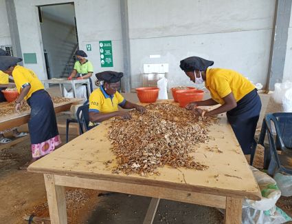 صندوق دعم سلاسل التوريد العالمية التابع لشركة آفيشكار كابيتال يقدم قرضًا بقيمة 5 ملايين دولار لمجموعة هورايزون أفريقيا، لتمكينها من توسيع عملياتها التشغيلية